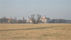 Elbwiesen mit Schloss Preetsch