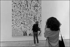 "Cerisiers en fleurs" Damien Hirst (2)