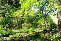 IT - Lucca - Botanical Garden
