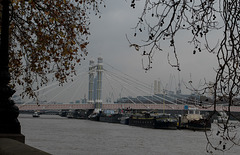 London Albert Bridge and Cadogan Pier (#0190)