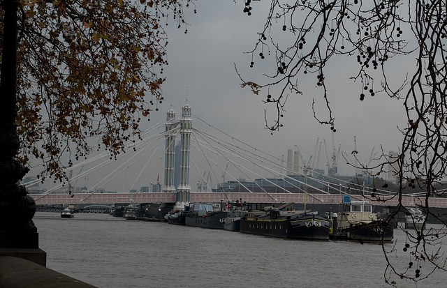 London Albert Bridge and Cadogan Pier (#0190)