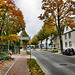 Scherlebecker Straße (Herten-Scherlebeck) / 17.10.2020