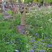 westminster cemetery, ealing, london