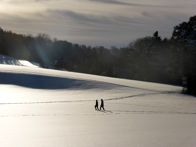 Spaziergang im Winter_01