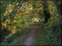 canal path near Kidlington