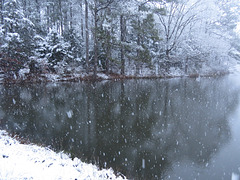 Snow at the pond