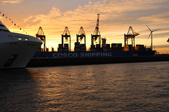 Containerschiff und Bug im Sonnenuntergang