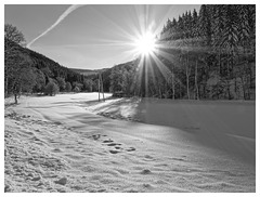Winterlandschaft  -  Black & White Friday