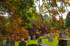 Autumnal graveyard