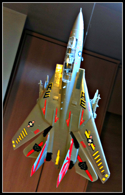 F-114 Tomcat, 5