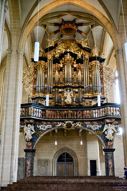 Erfurt 2017 – Severikirche – Organ