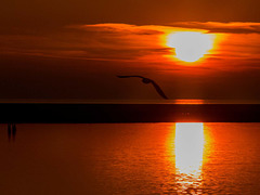 West Kirby Marine Lake sunset5