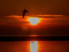 West Kirby Marine Lake sunset6