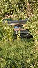 Abandoned car resting in peace