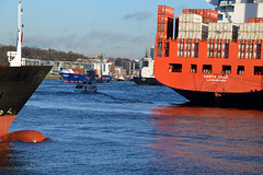 Hochbetrieb auf der Elbe in Hamburg