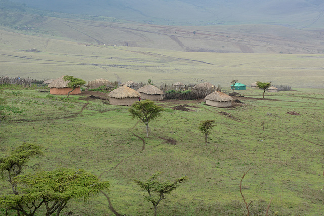 Ngorongoro, The Village of Masai