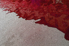 P1330566 red mosaic