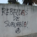 Shared Thoughts (4)  "Rebels from suburb!"