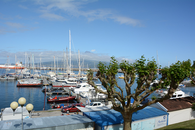 Azores, The Island of Faial, The Port of Horta