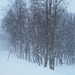 Lapland, Snowing