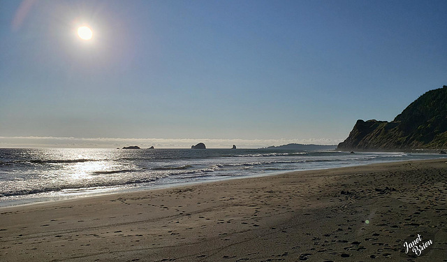 We're Camping!! This is Humbug Mountain State Park Beach! (+5 insets!)