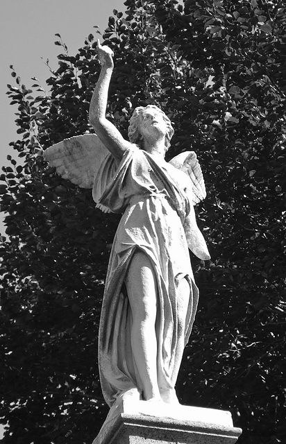 Angel with Upraised Arm in Greenwood Cemetery, September 2010