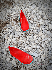 two little red shoes