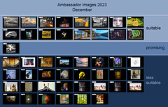 Ambassador Images 2023, December