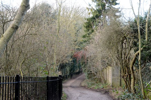 Millfield Lane