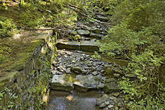 Stumbling Stones and Stepping Stones – Watkins Glen State Park, Watkins Glen, New York