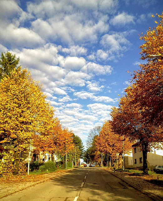 Autumn sky above my street