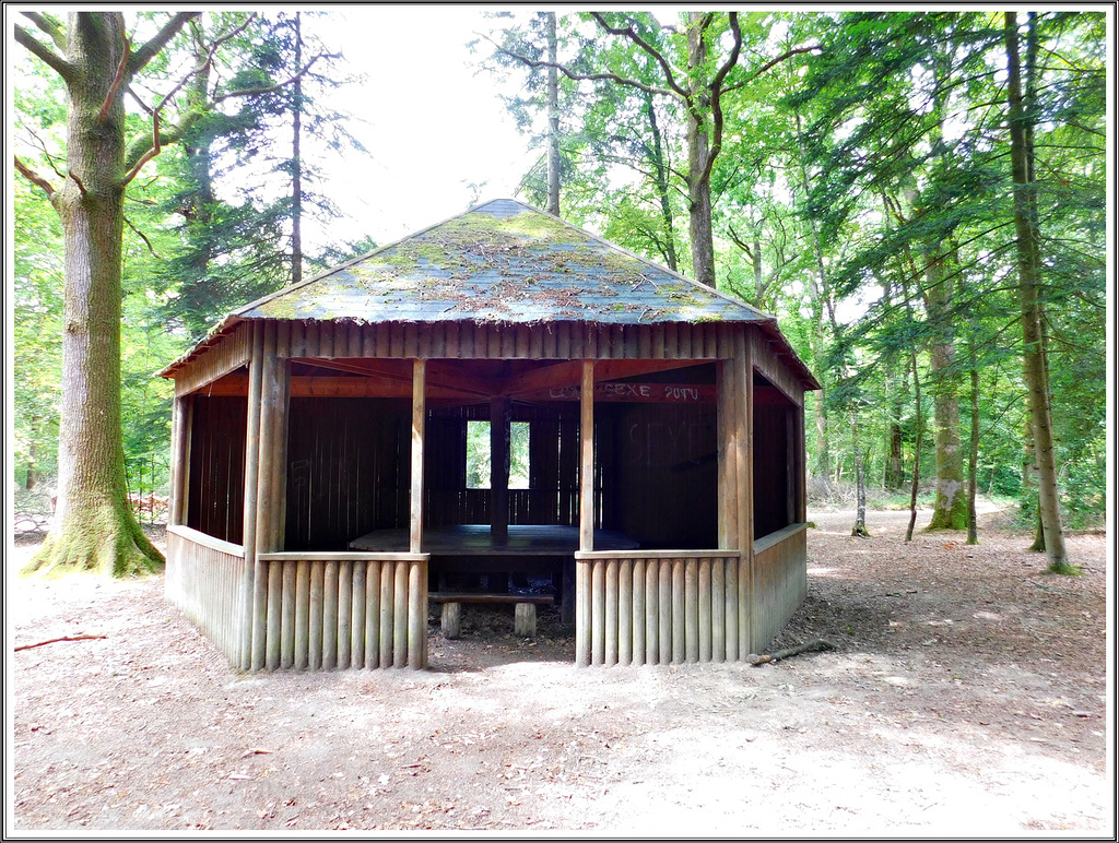 La cabane de Patira en forêt de Coetquen