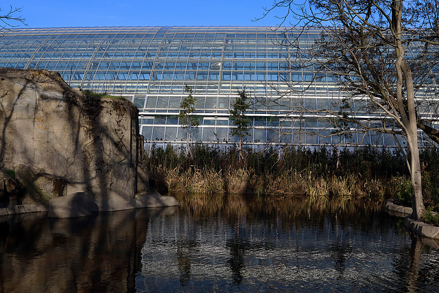 La nouvelle serre monumentale de 4000 m2 du Zoo de Vincennes