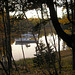 Autumn Evening - Milbridge Maine