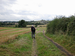 Footpath leading southward to Crutch Hill from just below Elmbridge