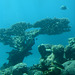 Israel, Eilat, Underwater Observatory