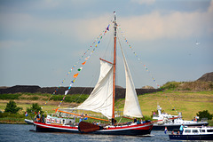 Sail 2015 – Willy