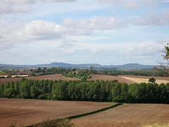 View to the Abberley Hills from Crutch Hill Trig Point (77m)