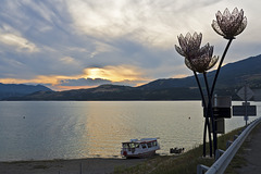 Le bateau au coucher du soleil (aux côtés de fleurs artistiques) sur le Lac de Serre-Ponçon, Savines-le-Lac, France