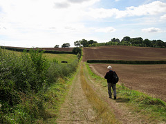 Footpath leading south from Crutch Hill