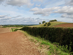 Looking back northward to Crutch Hill