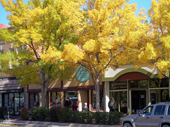 fall in Colorado Springs