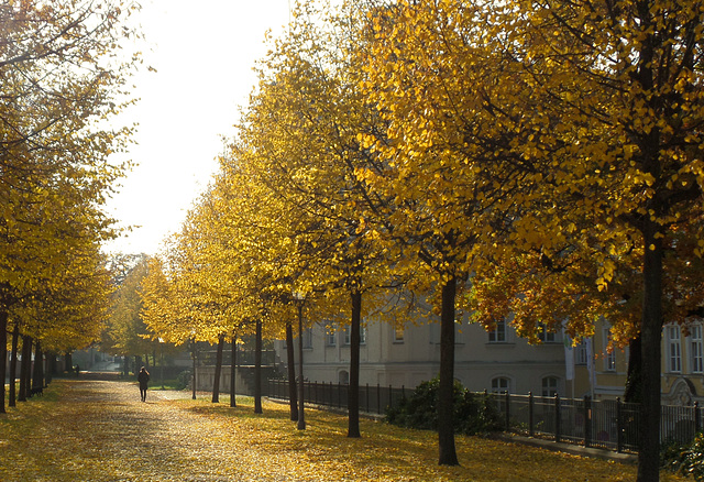 Magdeburg: Auf der Fürstenwall-Promenade