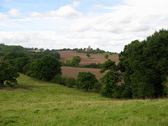 View towards Hampton Farm from Hampton Pool