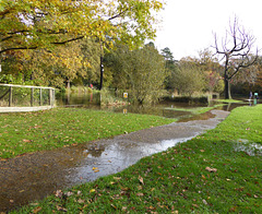 Flooding in the park for a H.F.F