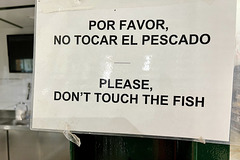 Xàbia 2022 – Please don't touch the ﬁsh