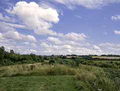 View over Tice's Meadow