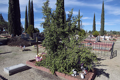 Alpine Cemetery (2770)