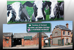 Auction Centre & Farmers' Market - Reading - 20.4.2015