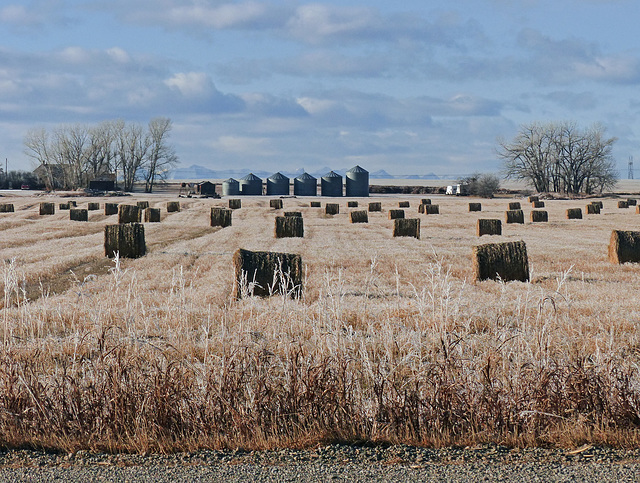 A frosty prairie view